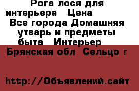 Рога лося для интерьера › Цена ­ 3 300 - Все города Домашняя утварь и предметы быта » Интерьер   . Брянская обл.,Сельцо г.